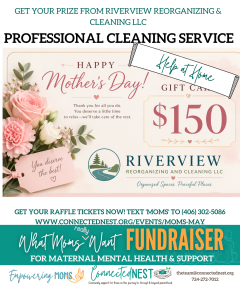Riverview cleaning (1)